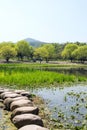 Waterside stone and glass Royalty Free Stock Photo