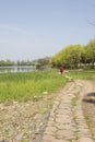 waterside stone path and glass Royalty Free Stock Photo