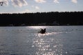 Waterskier silhouette moving fast in splashes of water at sunset