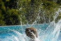 Watersplashing when a child is jumping into the swimming pool Royalty Free Stock Photo