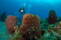 Watersports off the Dutch Caribbean island of Saba