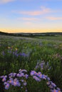 Waterton lake National Park Royalty Free Stock Photo