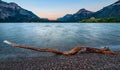 Waterton Lakes Log Royalty Free Stock Photo