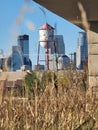 Watertower weeds city buildings Minneapolis concrete Royalty Free Stock Photo