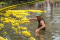 Chasing toy ducks in the river