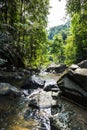 Waterway in the deep forest