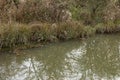 Waterway and foliage in winter with fallen leaves