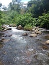 Waterway in the forest and nice view