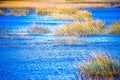 Waterway and marsh views on johns island south carolina Royalty Free Stock Photo