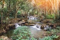 Waterway in tropical rainforest with flare and vintage tone