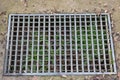 Waterway and road - grass. iron grate of water drain in grass garden field. Steel rusty grating in the Grass garden and concrete. Royalty Free Stock Photo