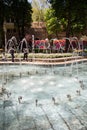 Waterworks fountain with water sprays and geysers in park or garden