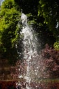 Waterworks fountain with water sprays and geysers in park or garden