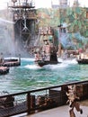 Waterworld is a Live Sea Spectacular attraction