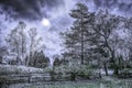 A watery moon above farmland in late Fall