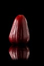Watery rose apple on a black reflective background