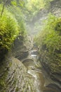 Watkins Glen Gorge