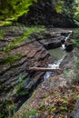 Watkins Glen Gorge Trail Royalty Free Stock Photo