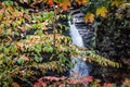 Watkins Glen Gorge Trail Royalty Free Stock Photo