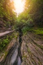 Watkins Glen Gorge in upstate New York Royalty Free Stock Photo