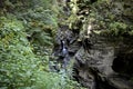 Trees and rivers find way in the rock formations at Watkins Glen, NY State Park