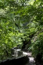 Watkins Glen State Park Royalty Free Stock Photo