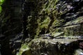 Watkins Glen State Park Stone Closeup