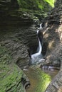 Watkins Glen State Park