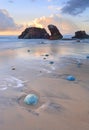 Watongo Rocks and blue Jelly Blubber jellyfish