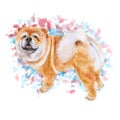 Watrcolor portrait of Chow chow dog