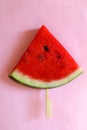 Watremelon Slice