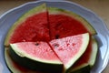 Watremelon Slice