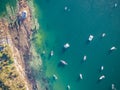 Watsons Bay, Sydney Australia aerial Royalty Free Stock Photo