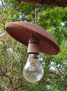 100 watt bulb is hangging on air. Royalty Free Stock Photo