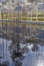 Wattens, Austria - March 18, 2023 - crystal clouds in the garden of Swarovski Kristallwelten (Crystal World)