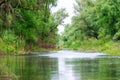 A watter channel in the Danube Delta