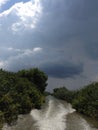 Watter channel on Danube Delta