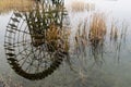 Watter mill inverted image and bulrush