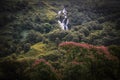 Watterfall in the Forest - Scottish Highlands Royalty Free Stock Photo