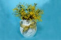 Wattle blossoms in a ceramic vase on blue