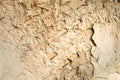 Wattle and daub wall texture