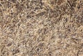 Wattle and daub wall texture Royalty Free Stock Photo