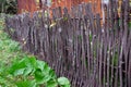 Wattle fence around the house - a traditional rustic twig fence made by intertwining willow branches Royalty Free Stock Photo