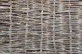 Wattle fence of dry twigs