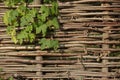 Wattle fence Royalty Free Stock Photo