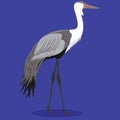 Wattled crane cartoon