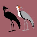 wattled Crane Flat style vector illustration