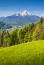 Watzmann mountain peak with blooming meadows in summer, Berchtesgaden, Bavaria, Germany