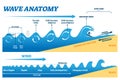 Wave anatomy vector illustration. Water movement physics explanation scheme