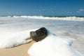 The wave at the beach with old coconut as point of interest.